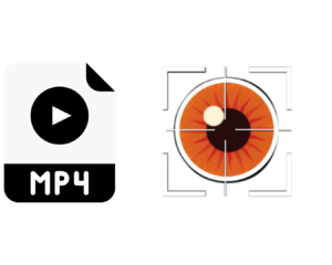 mp4 to scoutVISION